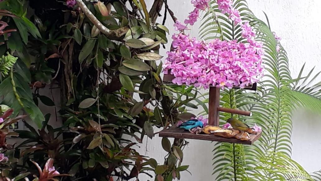 Suites Beija-Flor Parati Esterno foto