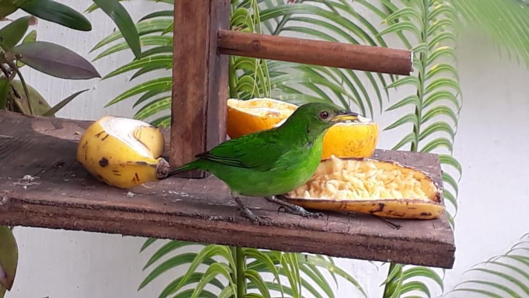 Suites Beija-Flor Parati Esterno foto