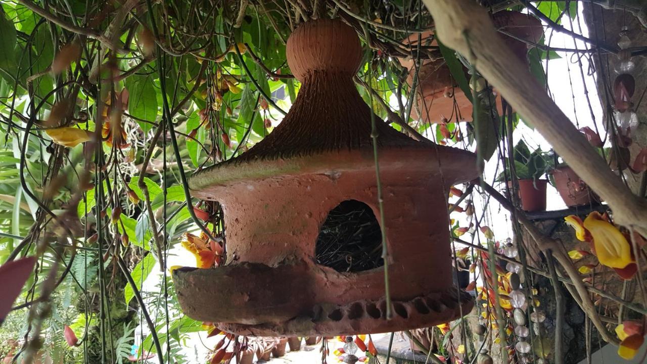 Suites Beija-Flor Parati Esterno foto